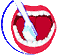 Departament d'Odontologia Cl&iacute;nica Sant Jordi
