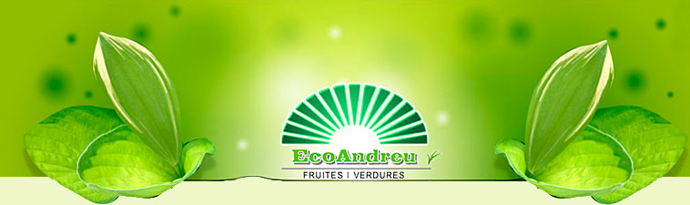 pàgina web oficial d'EcoAndreu