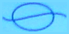 &Ograve;ptica Mediterr&agrave;nia