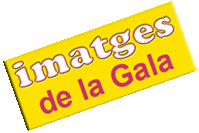 imatges de la Gala d'Homenatge