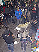 11 de febrer 2011