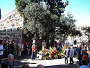 imatges de l'Homenatge 2011