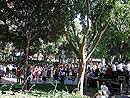 imatges de l'Homenatge 2011