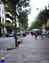 Rambla Tardor