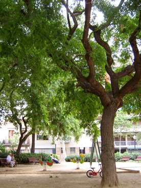 Plaça de les Palmeres