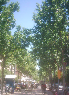 La Rambla