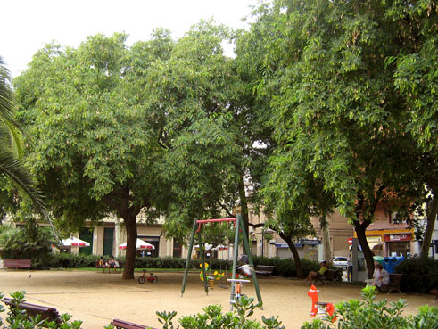 Plaça de les Palmeres