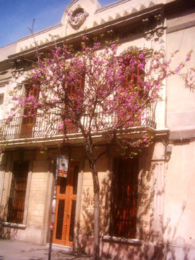 Primavera a La Rambla