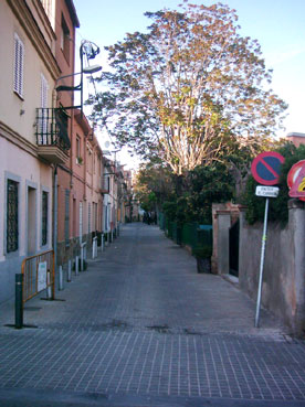 Tramuntana : carrer de'n Grau