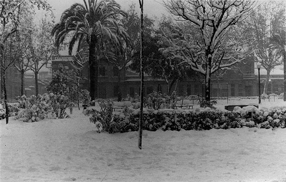 Plaça Palmeres