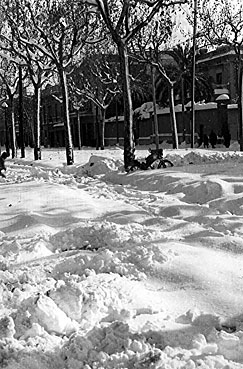 Rambla de Sant Andreu