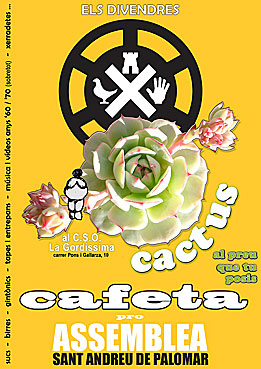 cactus al preu que tu posis