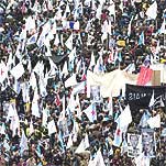 la manifestació de diumenge 23/02/2003